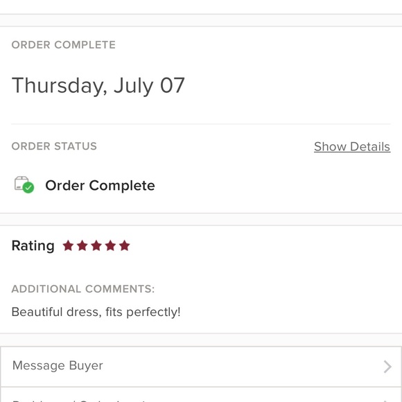 Adrianna Papell beaded nude mesh sheath dress - Picture 9 of 10